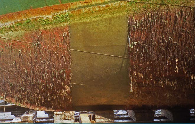 Copper anti-fouling test © SW